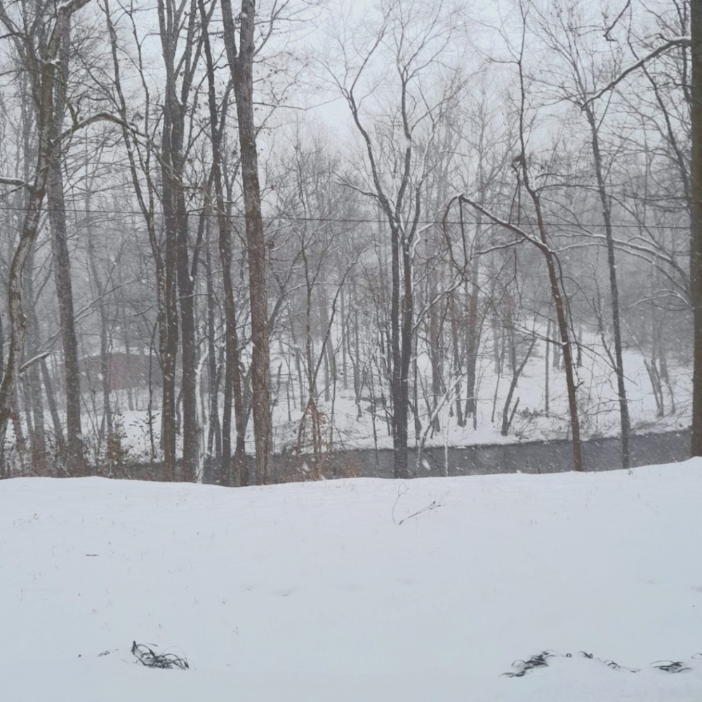 Meet your Posher, Lilly